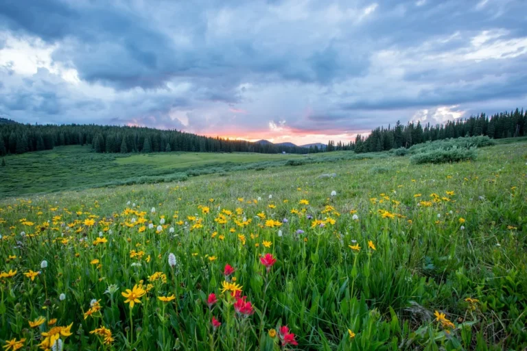 Golden morning sunrise over hills representing daily good morning blessings